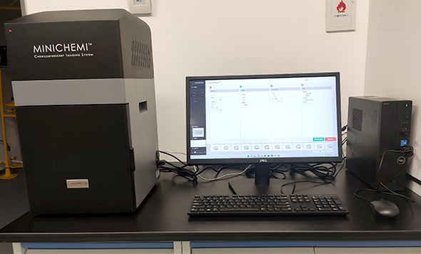 NEWS：12台森西赛智化学发光、荧光、凝胶成像系统落户海南省崖州湾种子实验室