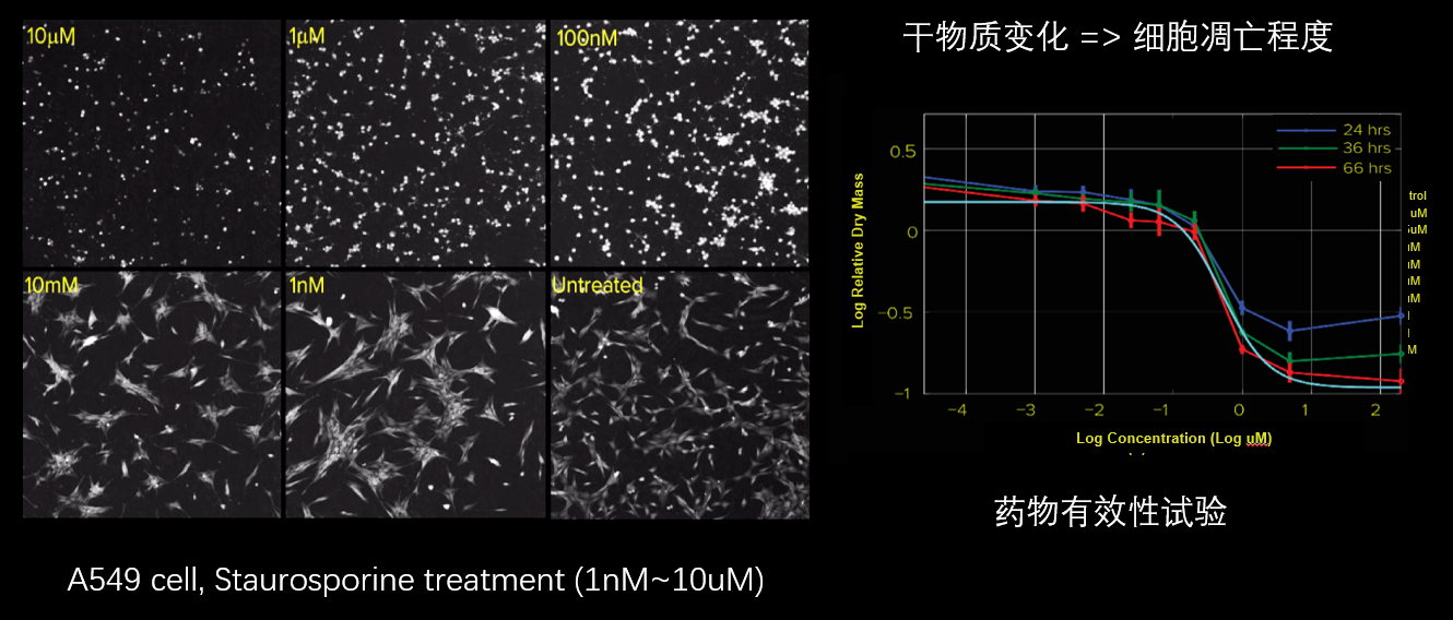 5、细胞毒性分析.png