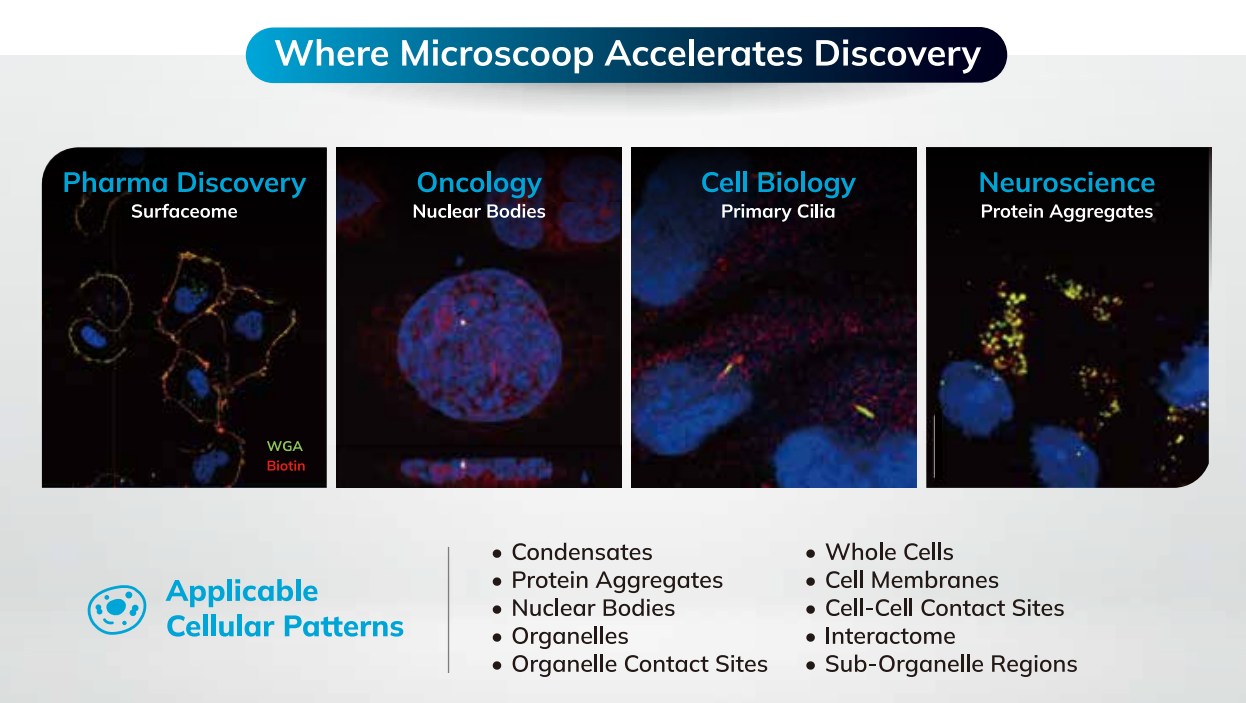 产品应用领域(整体).png 产品应用领域(整体).png