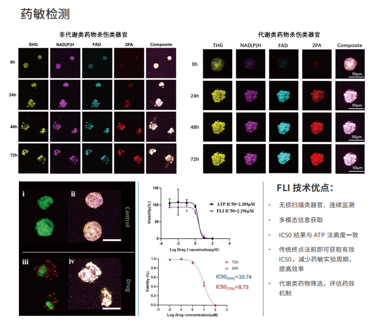 应用5-类器官药敏检测.png 应用5-类器官药敏检测.png