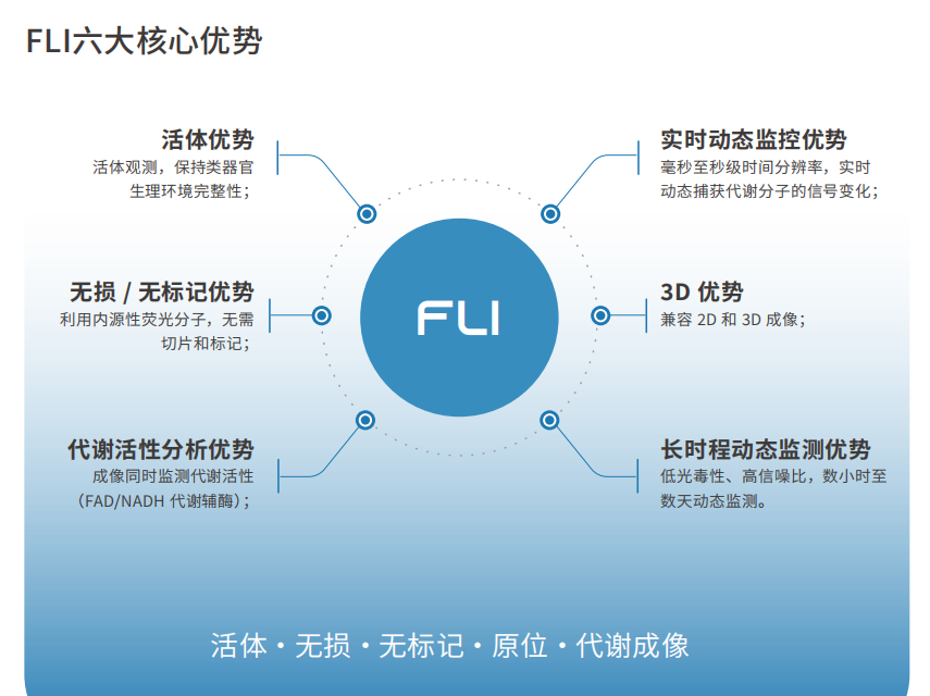 FLI六大核心优势.png FLI六大核心优势.png